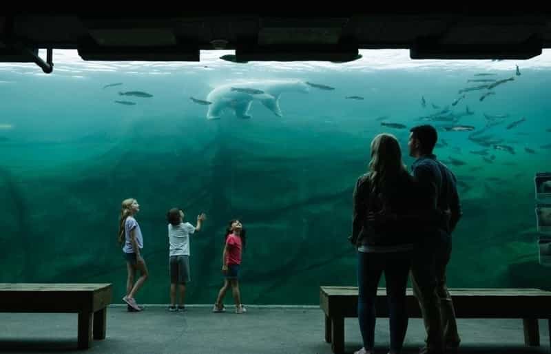 best aquarium in us