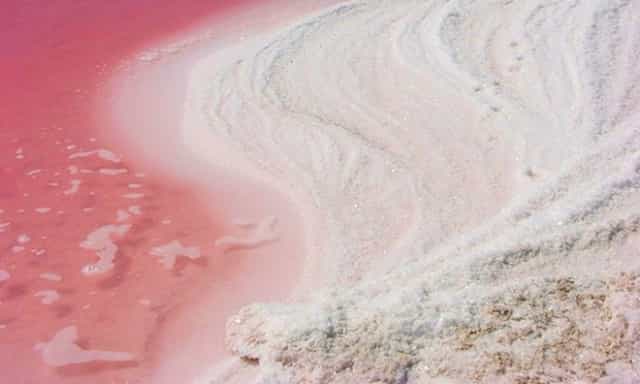 pink rivers