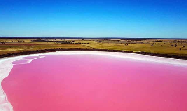 pink salt lakes
