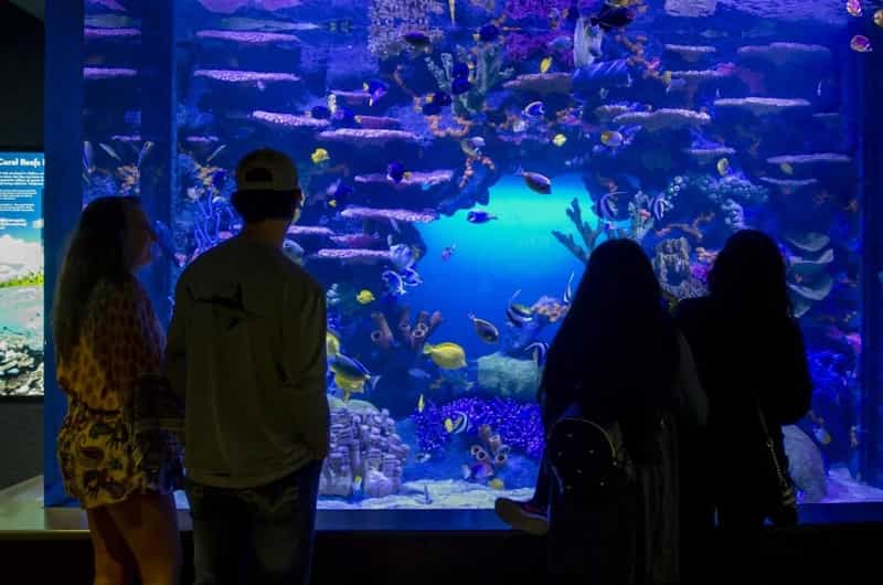 best aquariums in the us